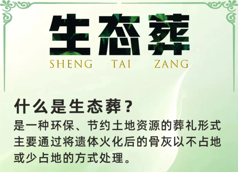 探索生态葬，开启绿色生命之旅